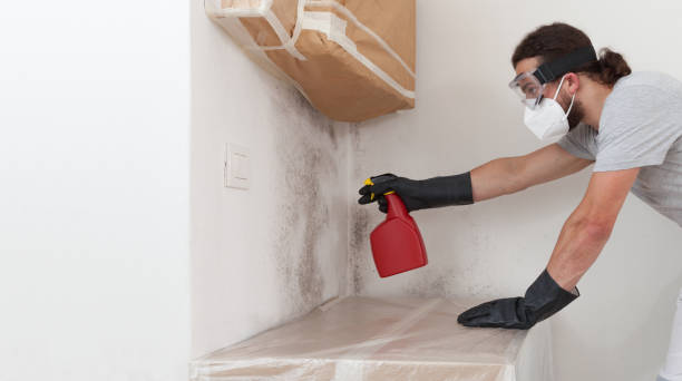 Professional Bathroom Mold Removal technician working in Dundas, VA